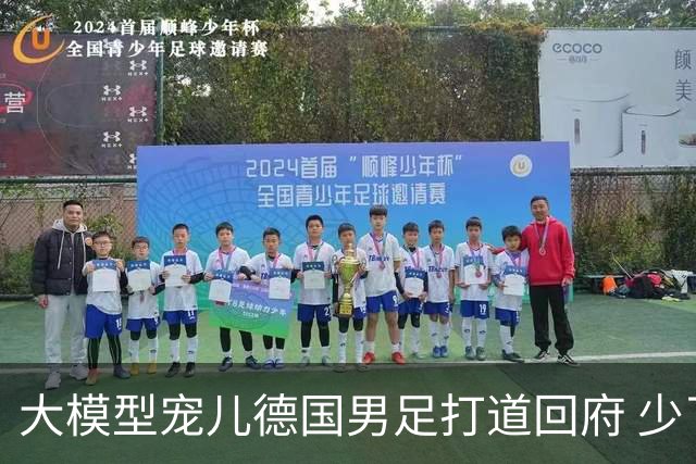 大模型宠儿德国男足打道回府 少了人性观察数据等于废纸