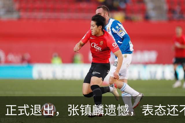 正式退出，张镇麟遗憾，表态还不错，名单公布，名帅表态